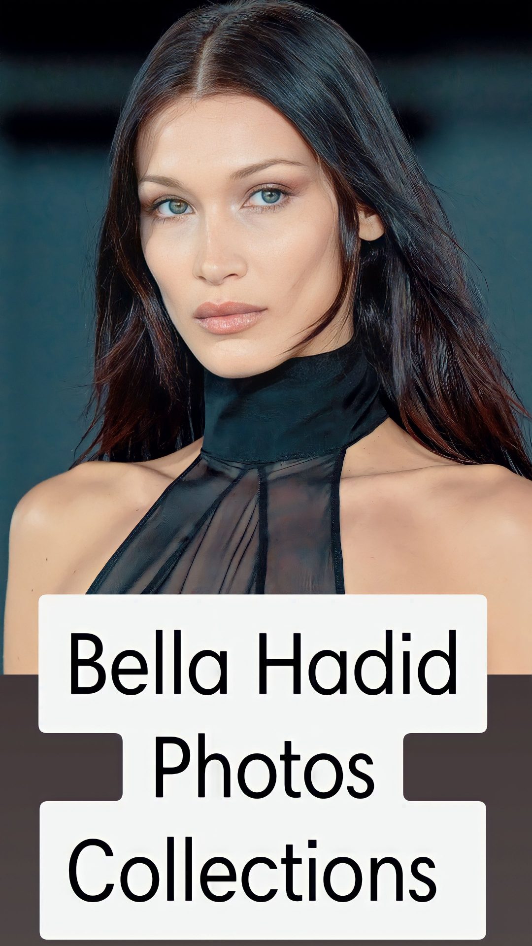 Bella Hadid Photos Gallery