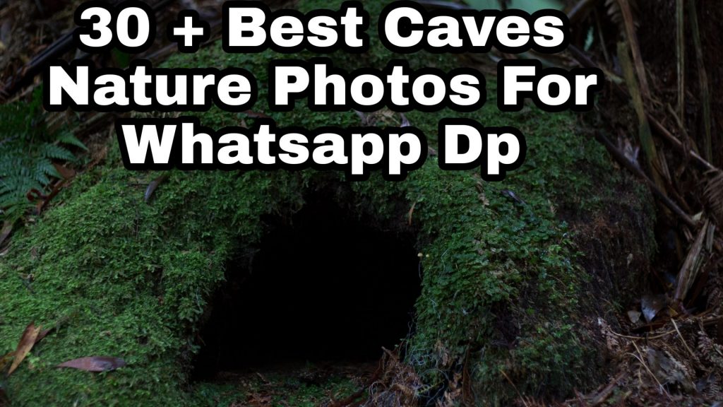 30 +Best Caves Nature WhatsApp DP Images