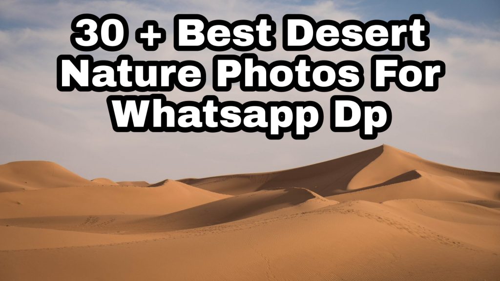 30 + Best Desert Images