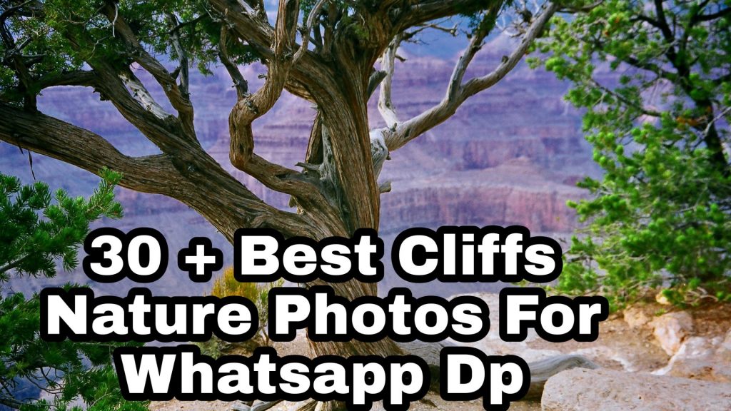 30+ Best Cliff Images
