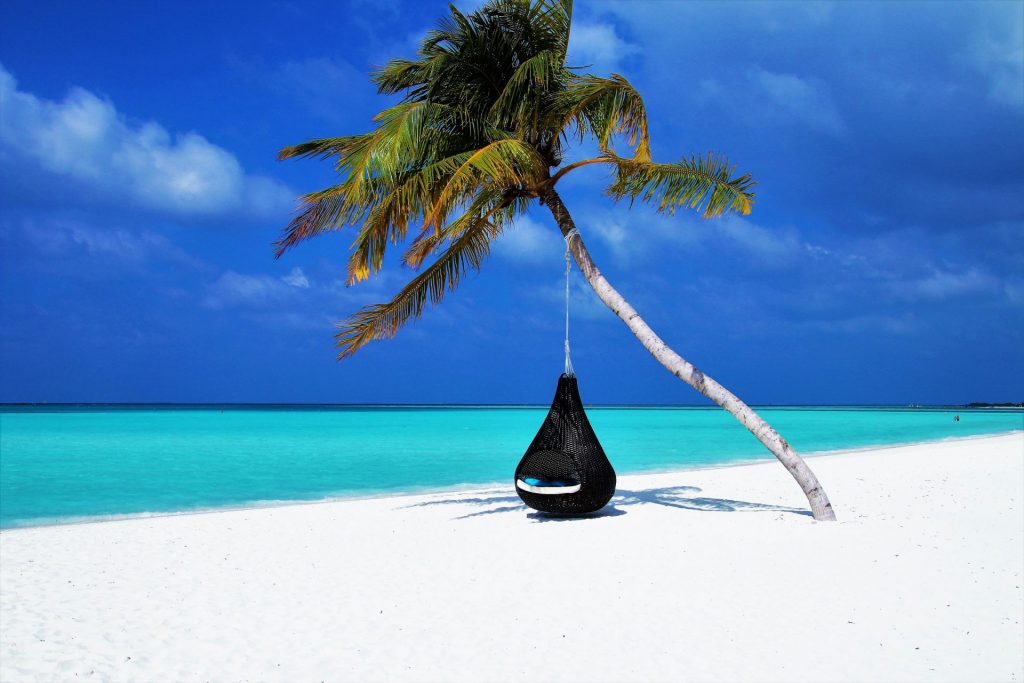 Blue sky and coconut tree in sea beach whatsapp dp image