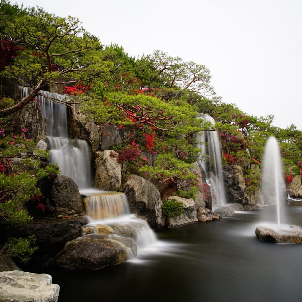 Small waterfall with Beautiful flowers trees whatsapp dp image