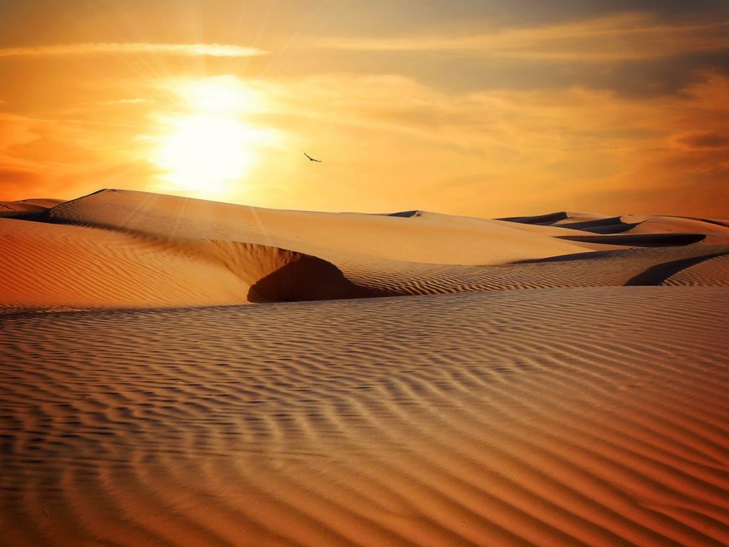 Sunset view on desert whatsapp dp image