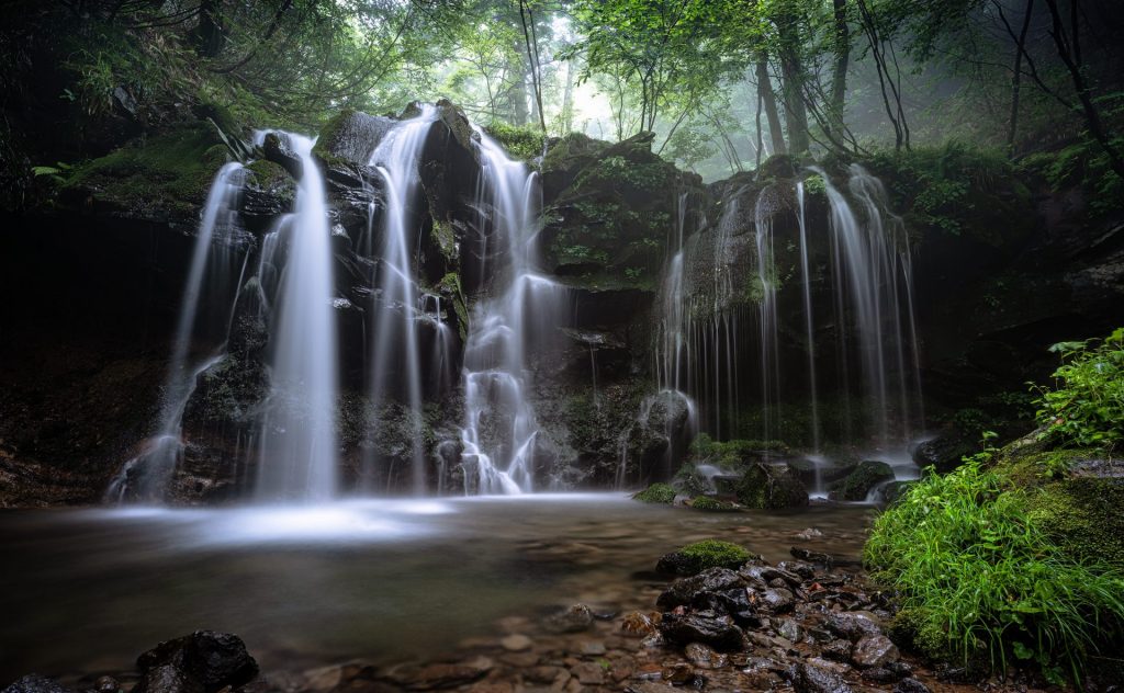 Waterfall in deep forest whatsapp dp image
