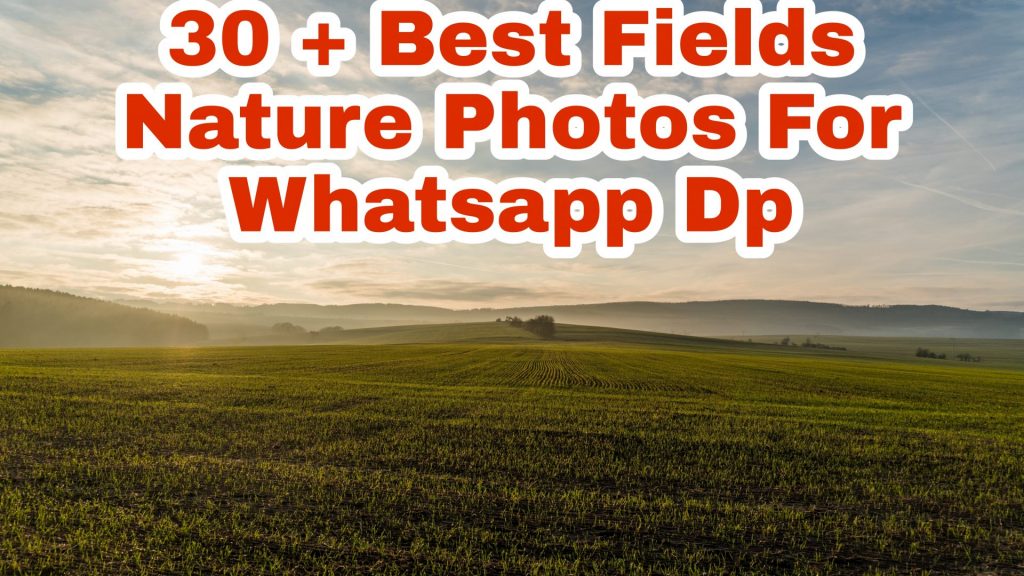 30 + Best Fields WhatsApp DP Images