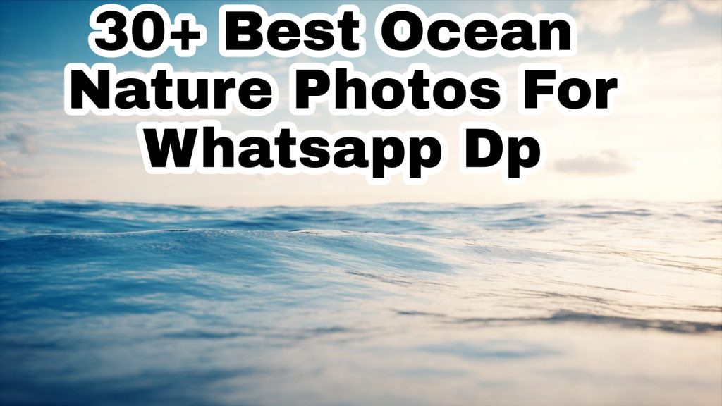 30+ Best Ocean Images