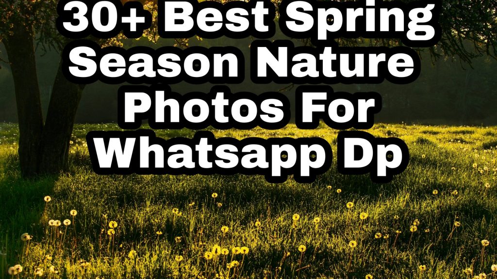 30+ Best Spring Images