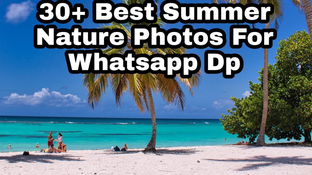 30+ Best Summer Images