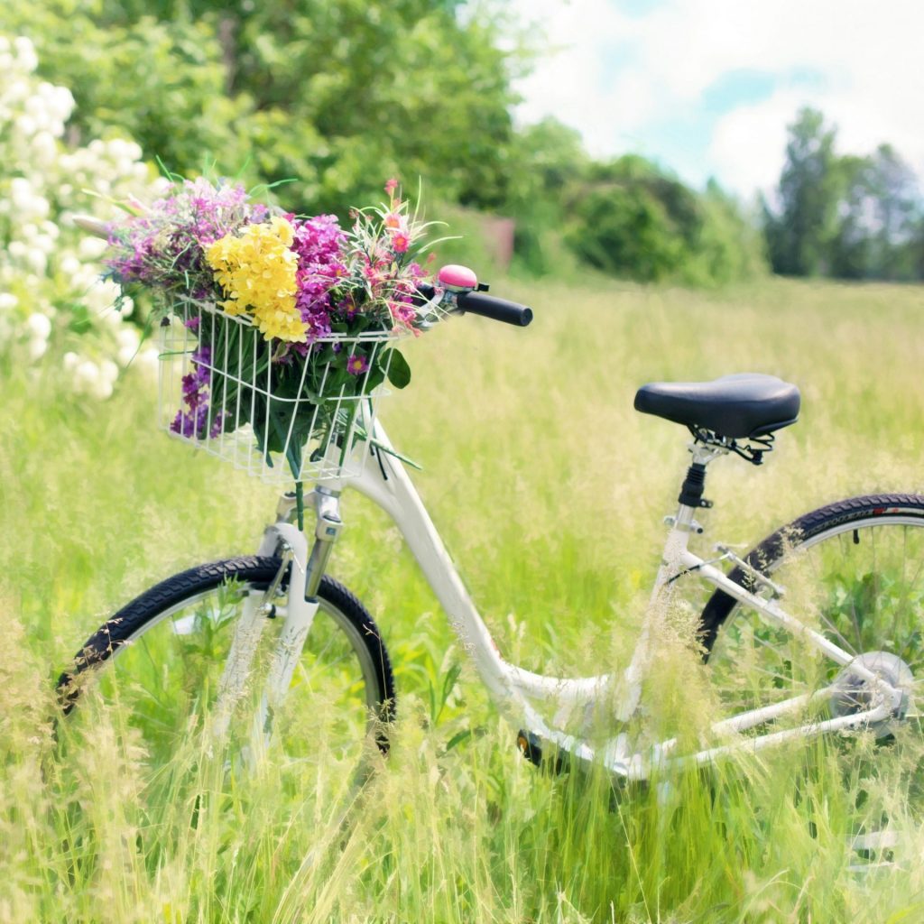 A Bicycle In The Grass Field Whatsapp Dp Image