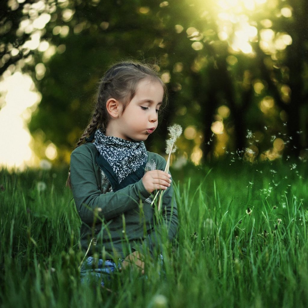 A Child Playing With Flower In The Grass Field Whatsapp Dp Image