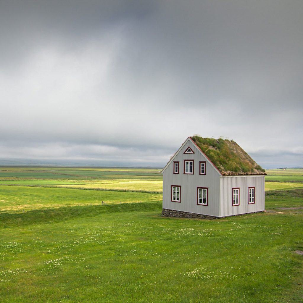 A Grass Field In The Iceland Whatsapp Dp Image