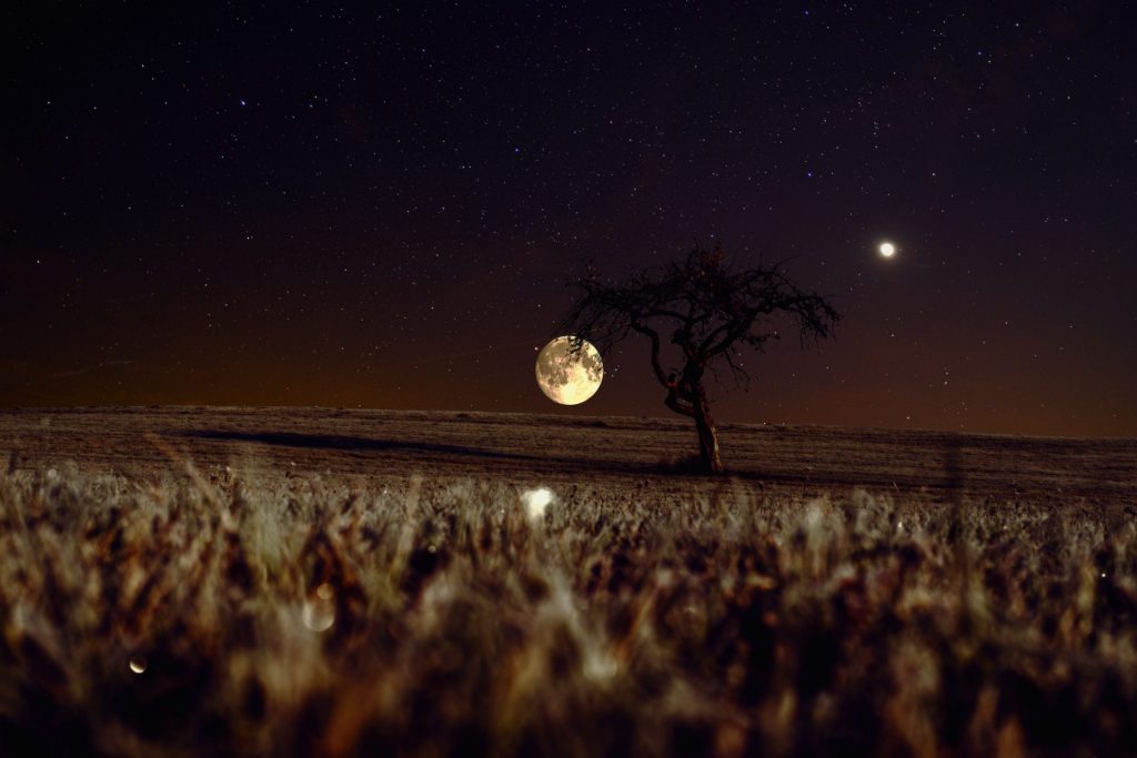 A farm field in moonlight whatsapp dp image