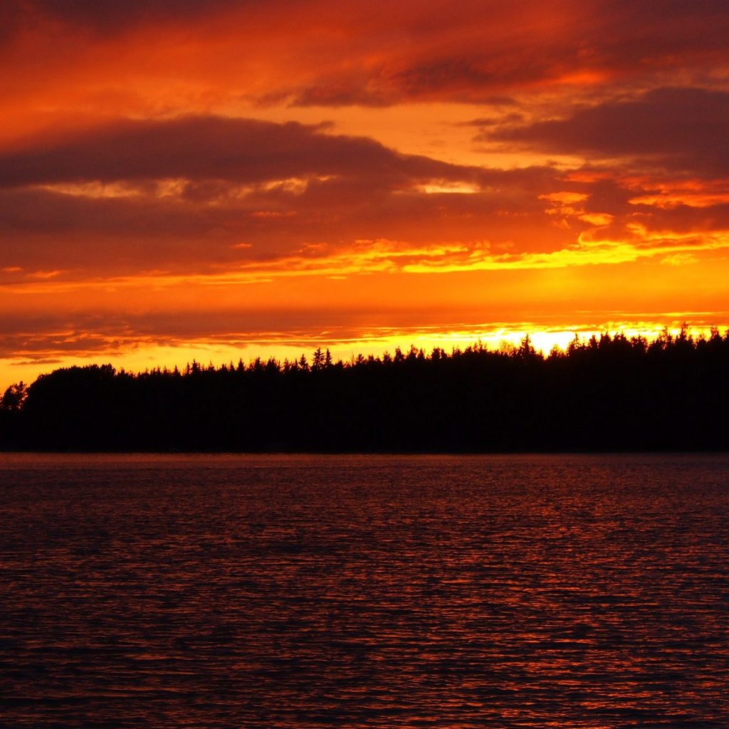 A sea sunset evening Sleet whatsapp dp image