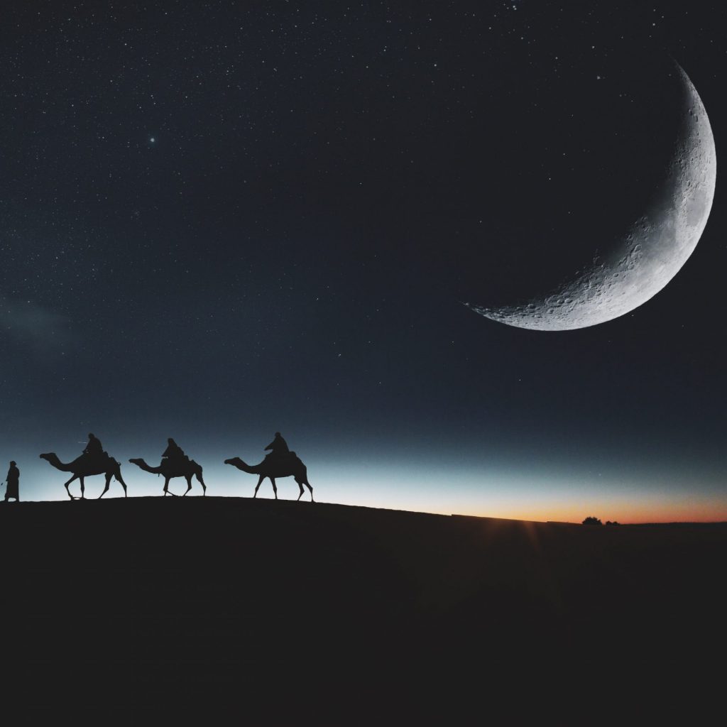 Camels walk in moon light whatsapp dp image
