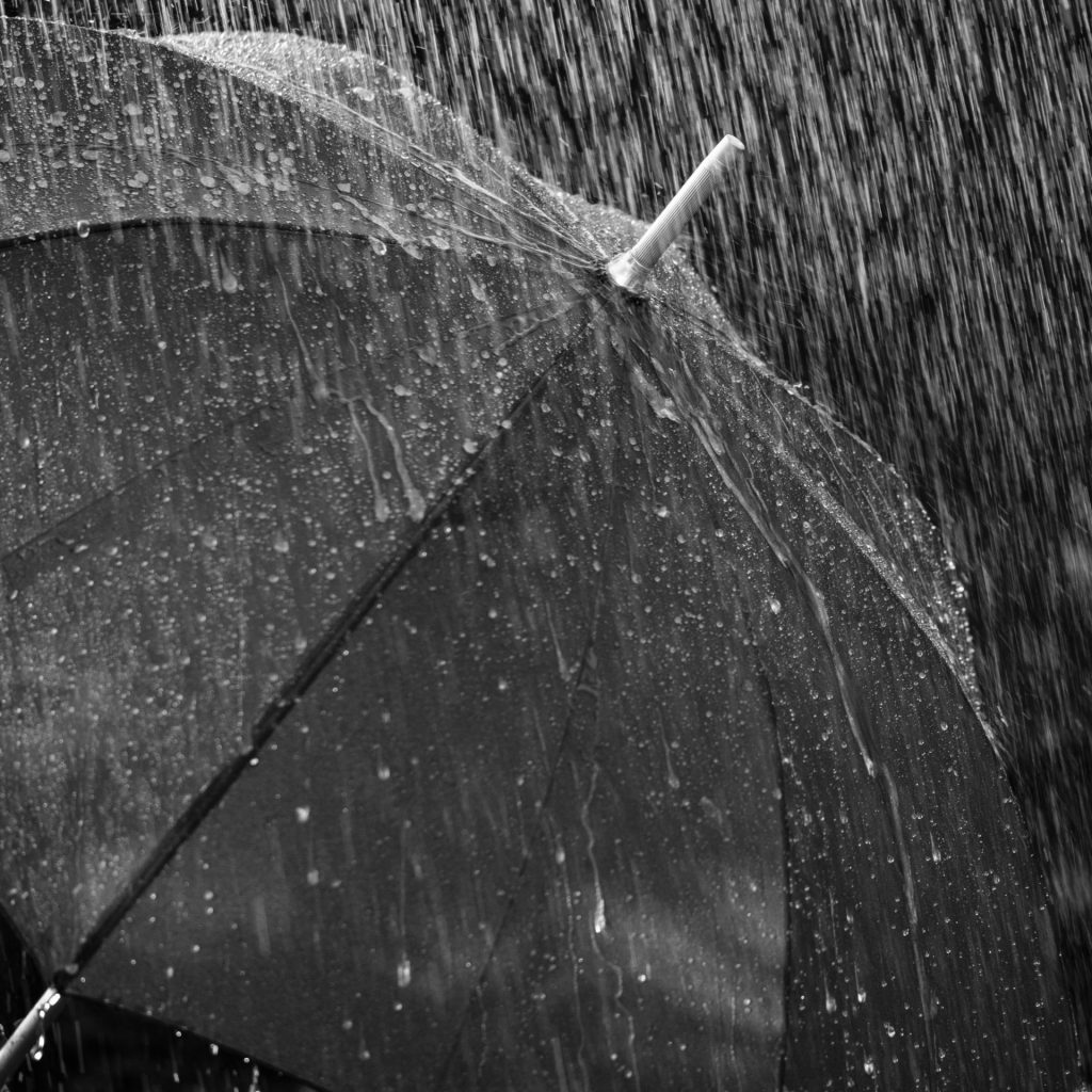 Open umbrella in the rain whatsapp dp image