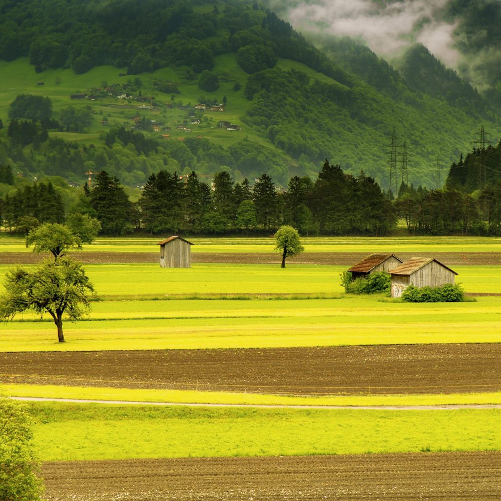 Small houses on field whatsapp dp image