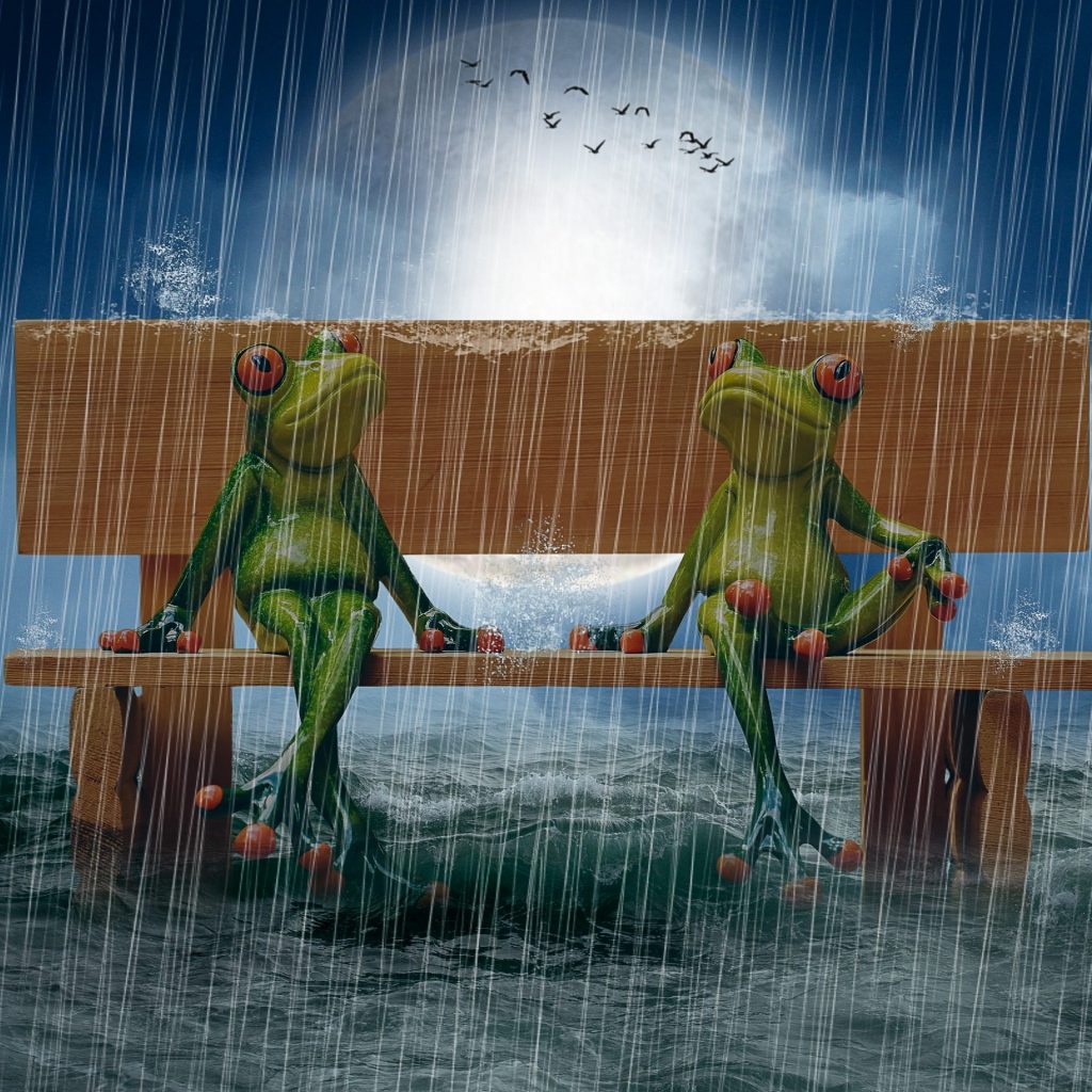 Two frog enjoy the rain seating on a table whatsapp dp image