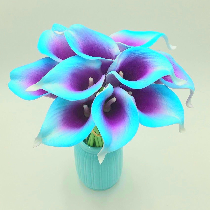 Blue And Purple Arum Lily Flower Whatsapp Dp Image