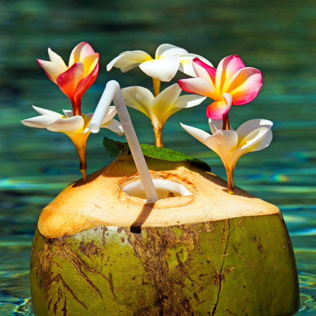 coconut-cocktail champak flower image