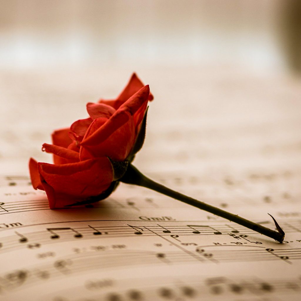 sheet music rose flower imagesheet music rose flower image