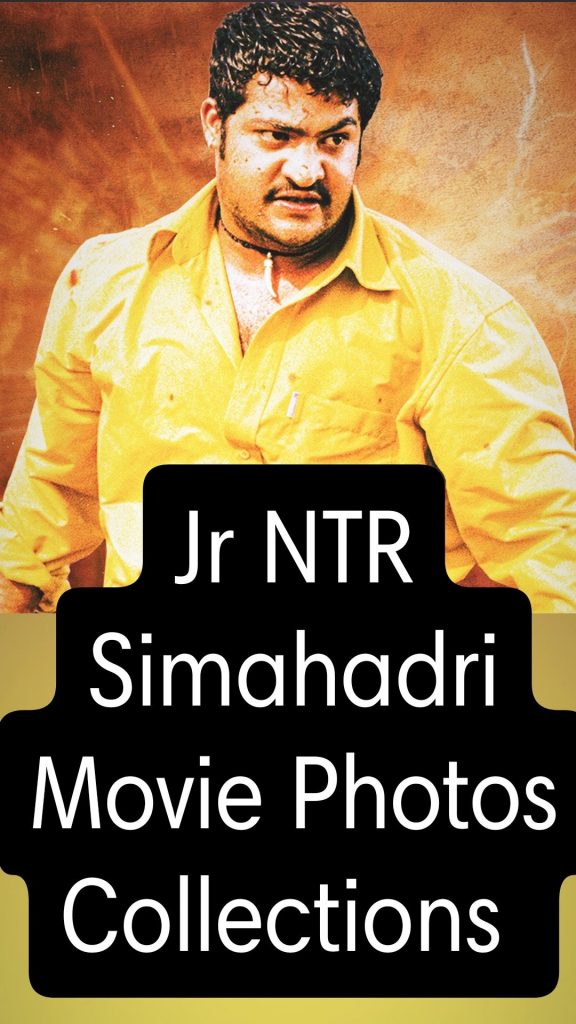 15+ Best Jr NTR Simahadri Movie Photos Collections
