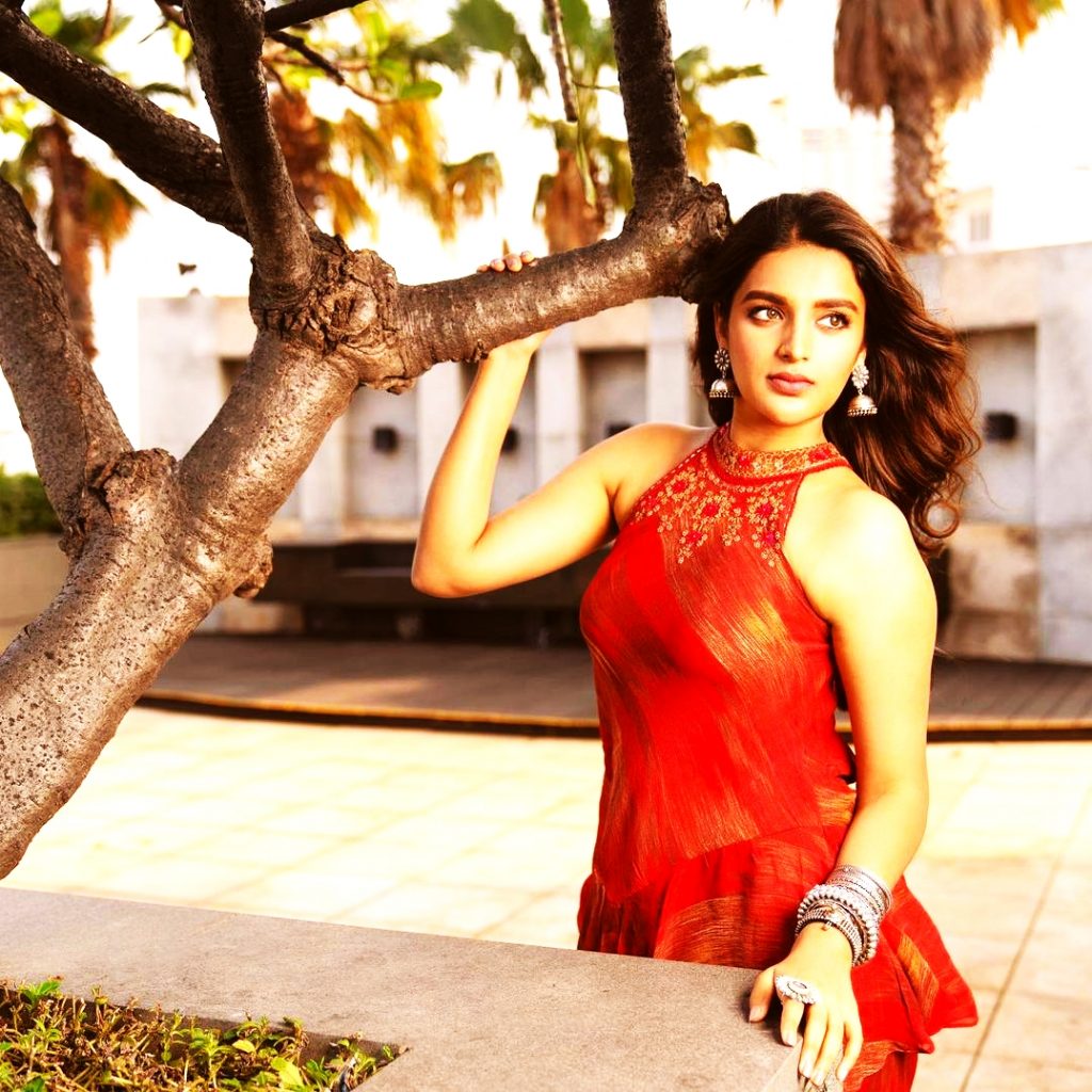 Niddhi Agerwal Looking Hot In Red Dress WhatsApp DP Image