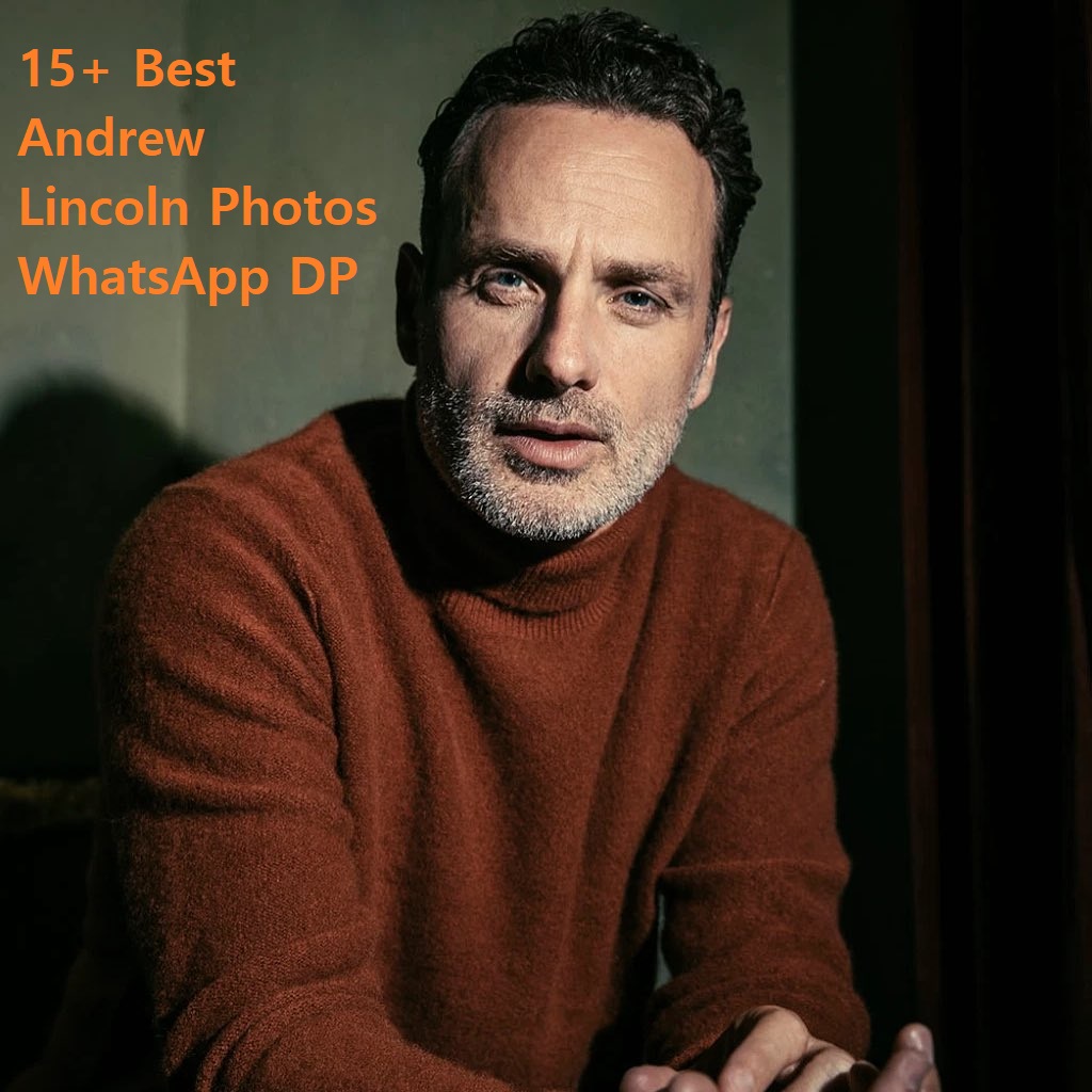 15+ Best Andrew Lincoln Images