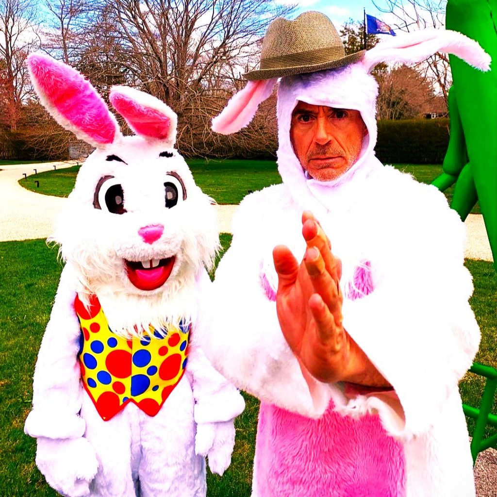 Robert Downey Jr Wear Rabbit Dress WhatsApp DP Image