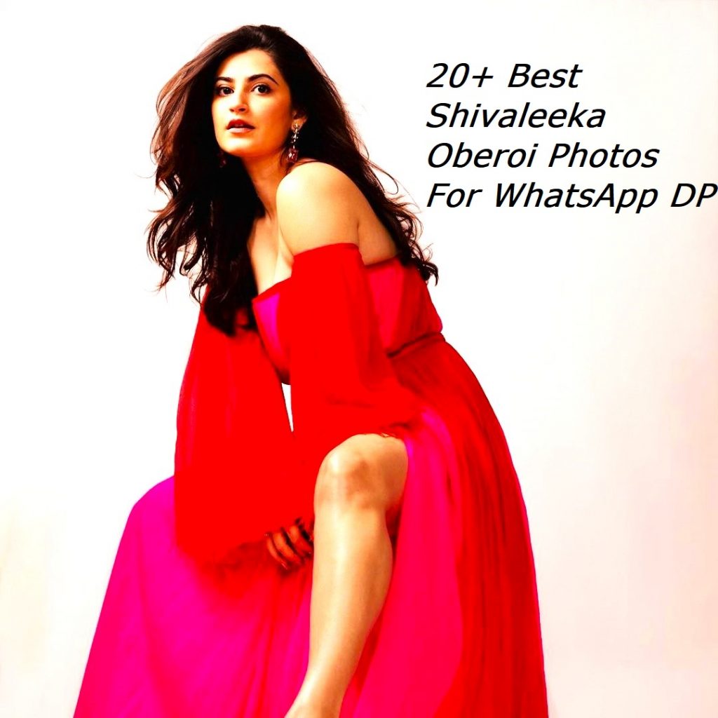 20+ Best Shivaleeka Oberoi Images