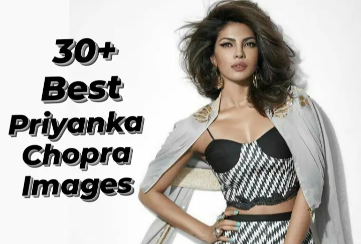30= Best Priyanka Chopra Images