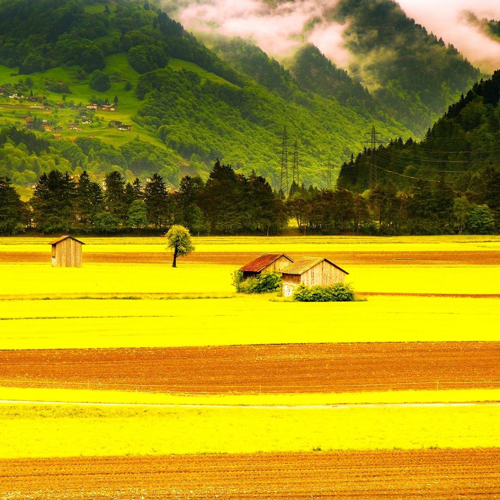 Field Valley Landscapes WhatsApp DP Image
