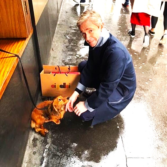 Pet Lover Martin Freeman WhatsApp DP Image