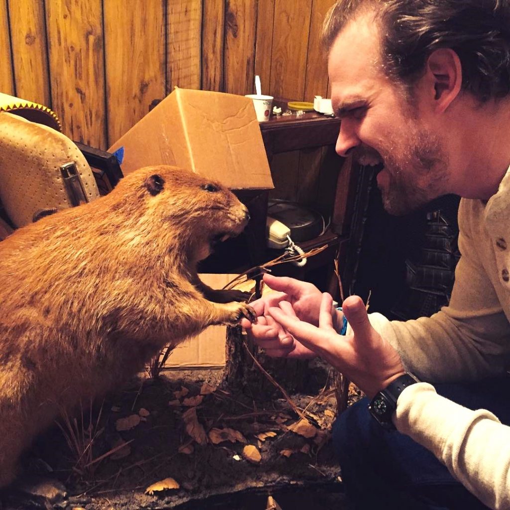David Harbour Play With A Rat WhatsApp DP Image