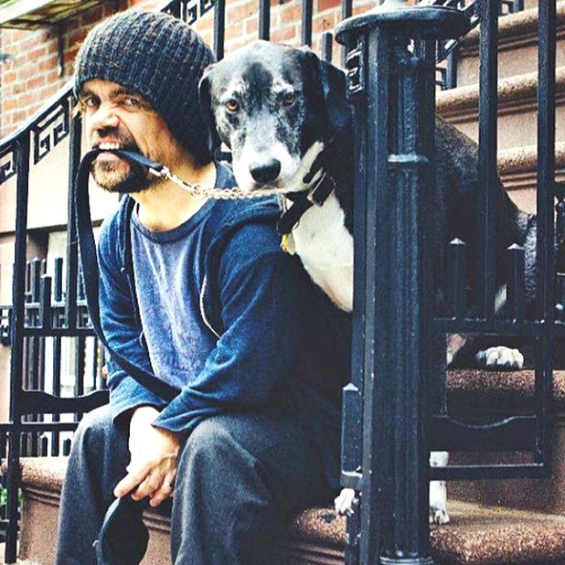 Peter Dinklage And His Pet WhatsApp DP Image