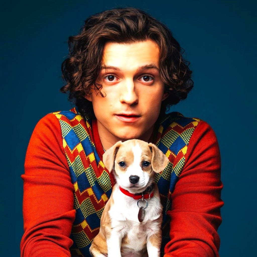 Tom Holland And His Pet WhatsApp DP Image