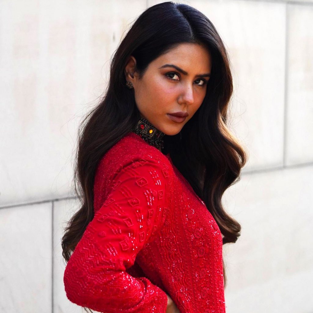 Sonam Bajwa Attitude