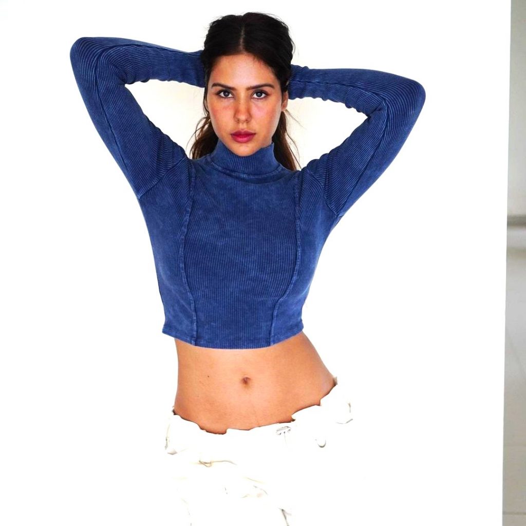 Sonam Bajwa Movies