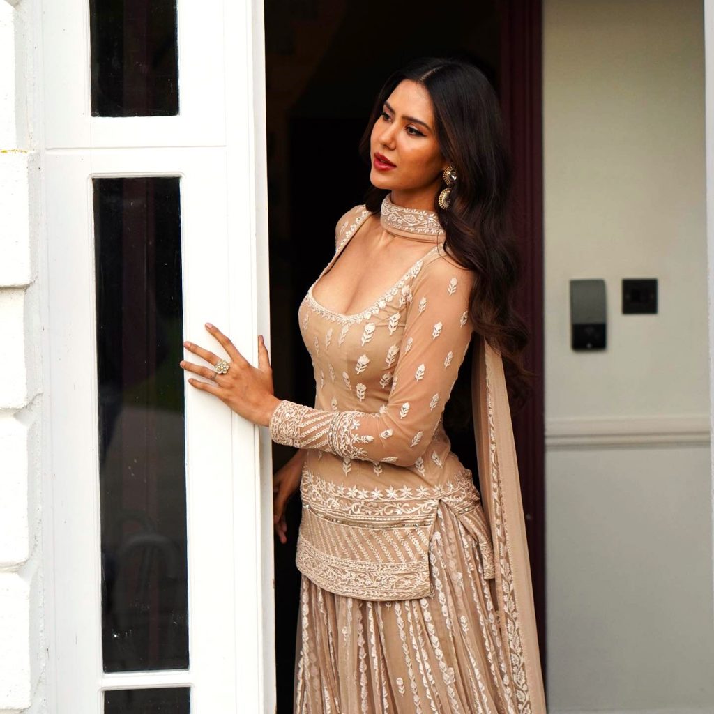 Sonam Bajwa Wiki