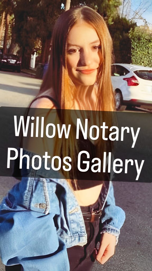 15+ Best Willow Notary Images