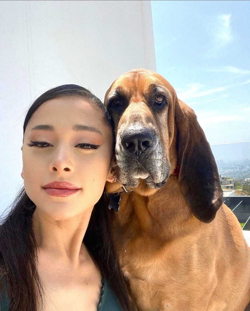 Ariana Grande And His Pet