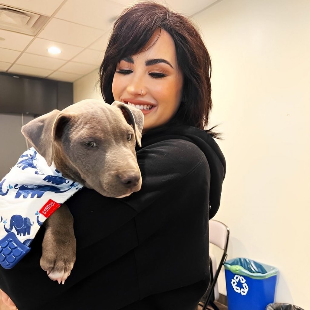 Demi Lovato And His Pet