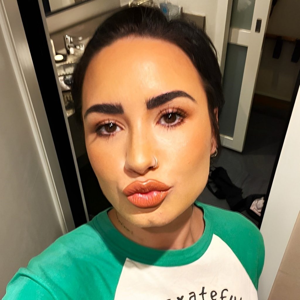 Demi Lovato Pauch Face